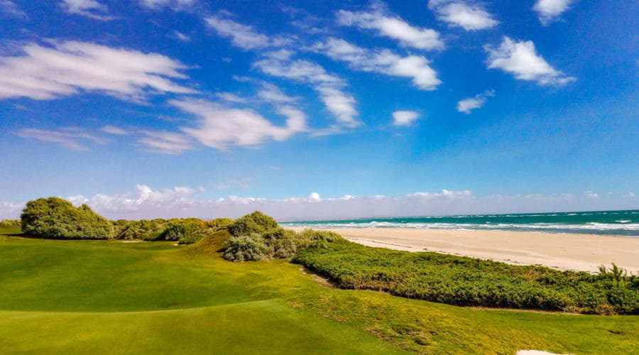 Las mejores opciones de alquiler de coches en Puerto Peñasco